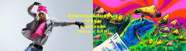 МДПВ Абинск