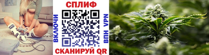 Бошки марихуана план  Отрадный 
